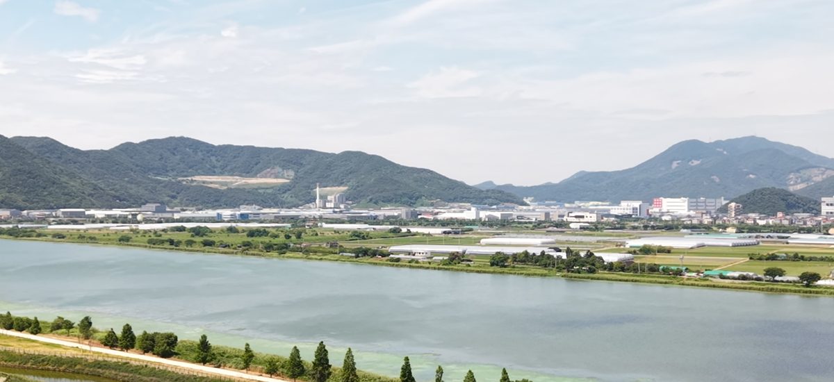 서낙동강 일대 강변 풍경